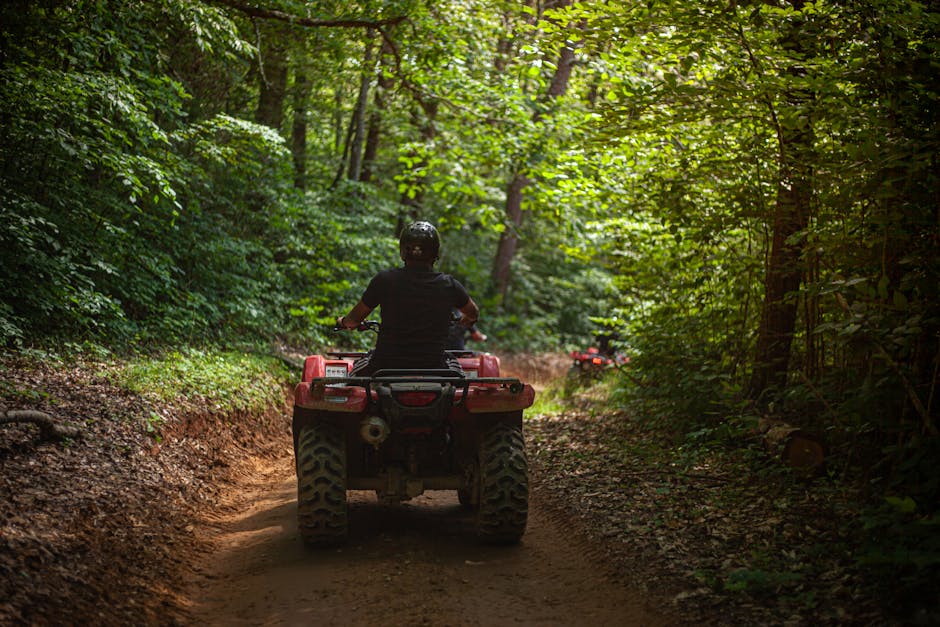 pexels-photo-8310033-8310033 A person driving an ATV through a lush green forest trail, enjoying an adventurous ride.