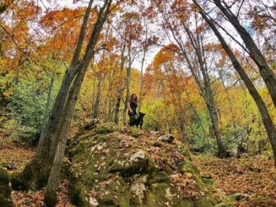 Ehmej Fall Hike