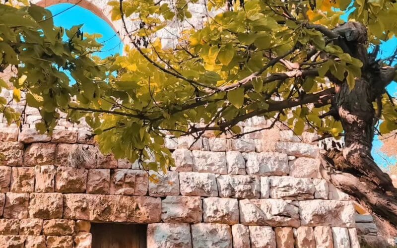 Jabal Moussa Fall Hike