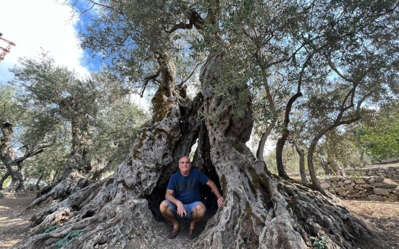BCHAALEH: HISTORICAL TOUR, WORKSHOPS , ECOMUSEUM AND MORE
