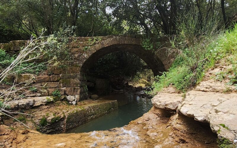 Arsoun Hiking and Debs Tasting