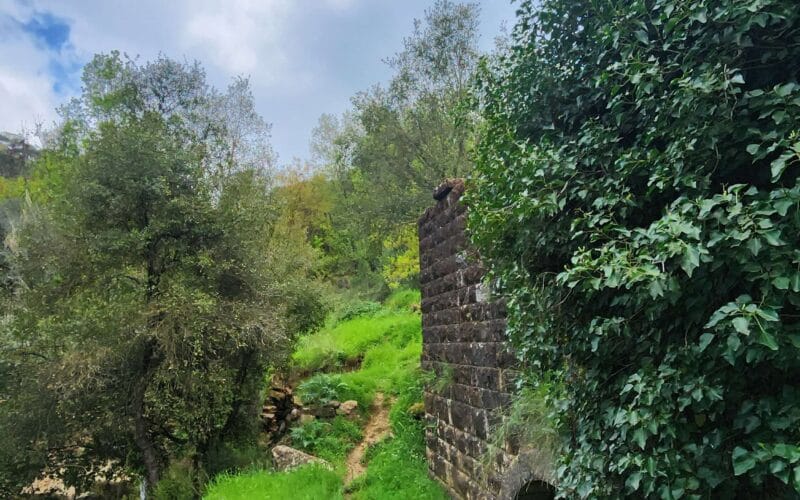 Arsoun Hiking and Debs Tasting