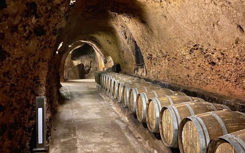 Zahle Christmas: Ksara wine tour and tasting, Lady of Joy, Saydet Zahle, Zahle Magical Christmas