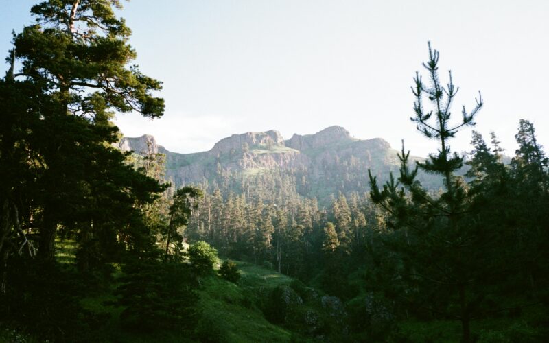 Georgia: where history meets nature (July)