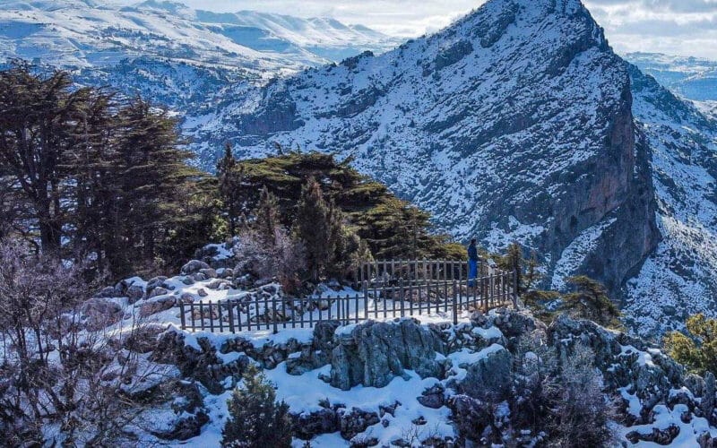 ARZ TANNOURINE SNOWSHOEING