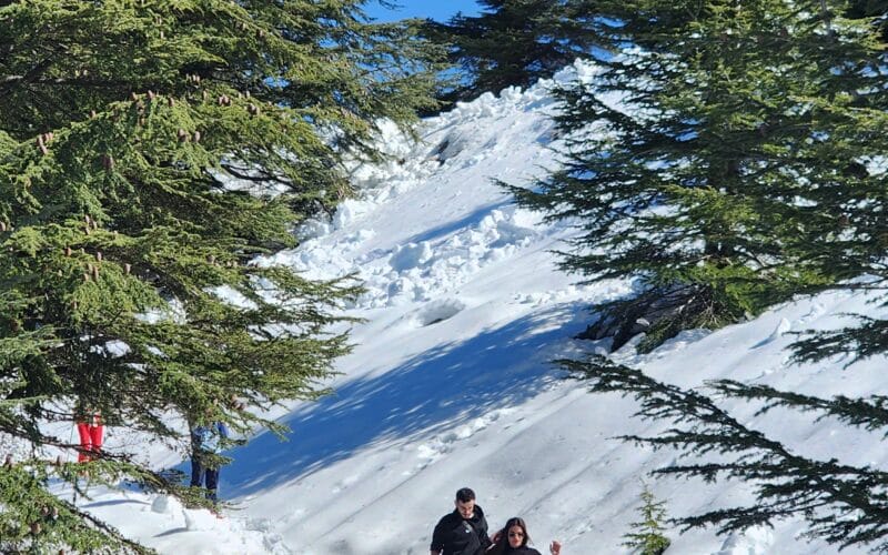 BAROUK CEDARS RESERVE SNOWSHOEING
