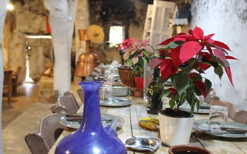 Sefer Bi Lebnen – Al Zourou3 Experience: Olive Oil Tasting, Local Products, Mini Hike and Traditional Lunch