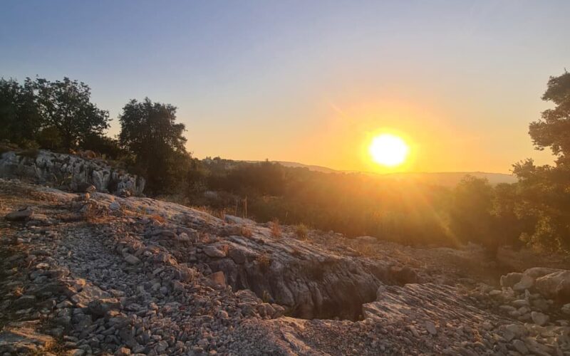 Sefer Bi Lebnen – Al Zourou3 Experience: Olive Oil Tasting, Local Products, Mini Hike and Traditional Lunch