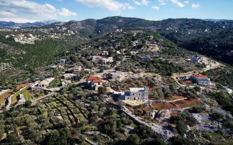 Sefer Bi Lebnen – Al Zourou3 Experience: Olive Oil Tasting, Local Products, Mini Hike and Traditional Lunch