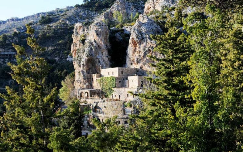 The Holy Valley: Qadisha, Bcharre & The Cedars (4 guests+)