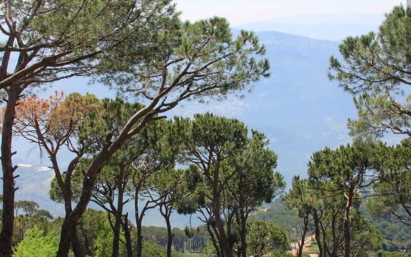 Dhour Chweir Hike (Mother's Day Celebration - All the Mom's are welcomed for free in this hike)