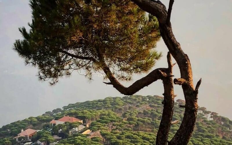 Dhour Chweir Hike (Mother's Day Celebration - All the Mom's are welcomed for free in this hike)