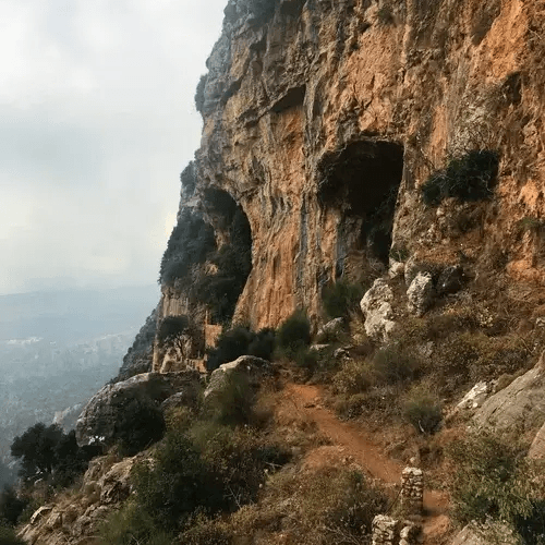 The Holy Valley: Qadisha, Bcharre & The Cedars (4 guests+)