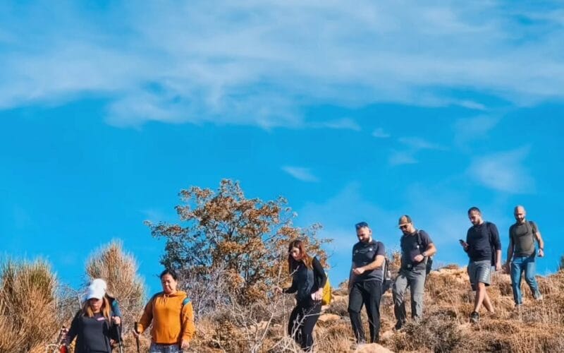 Hardine Hiking
