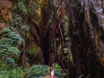 Hiking in Bqaatouta (Amazon Trail)