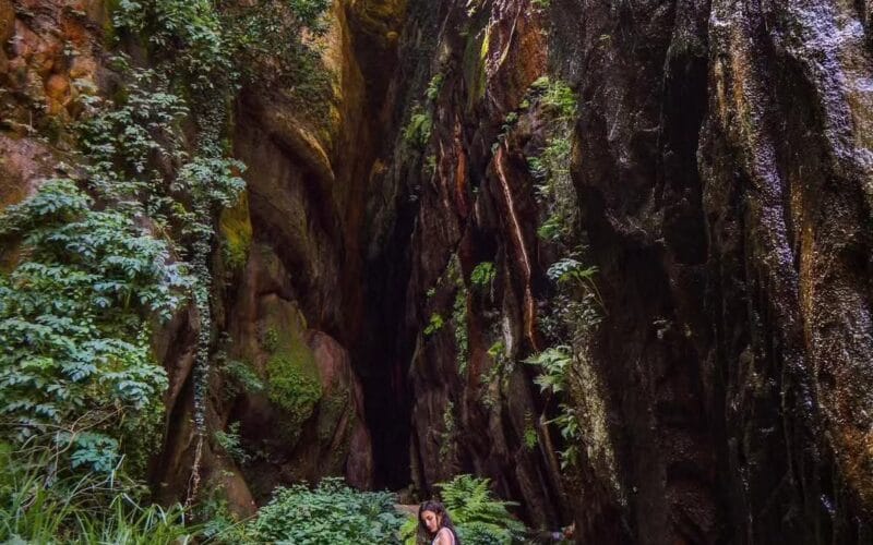 Hiking in Bqaatouta (Amazon Trail)