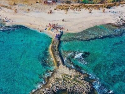 Boat roundtrip to the Palms Rabbits Island (Tripoli)