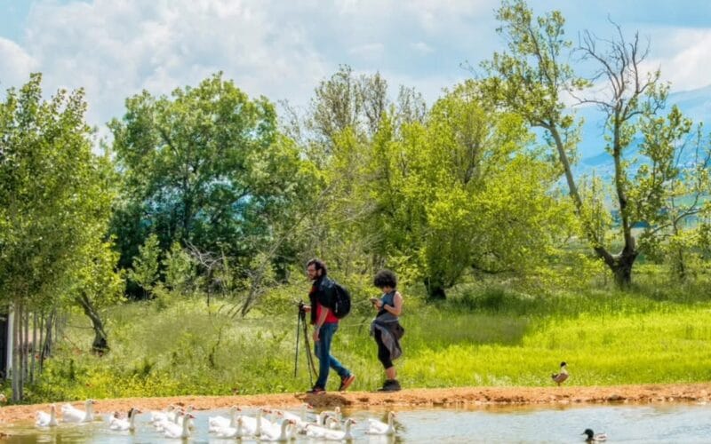 Ammiq Wetland Hiking
