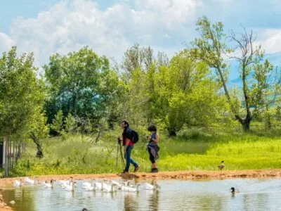 Hiking in Ammiq Wetland