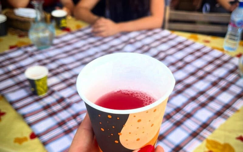 Sefir Bi Lebnen: Slika, Lavender, & Rosemary Experience at the Abou Saab Brothers' Farm