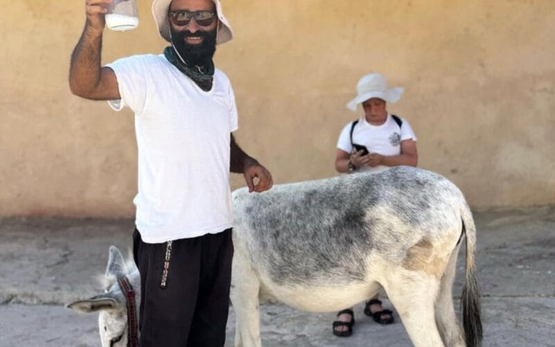 Sefir Bi Lebnen | A Full Day Adventure at Maasser Donkey Farm