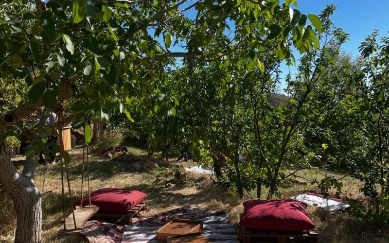 Sefir Bi Lebnen | A Full Day Adventure at Maasser Donkey Farm