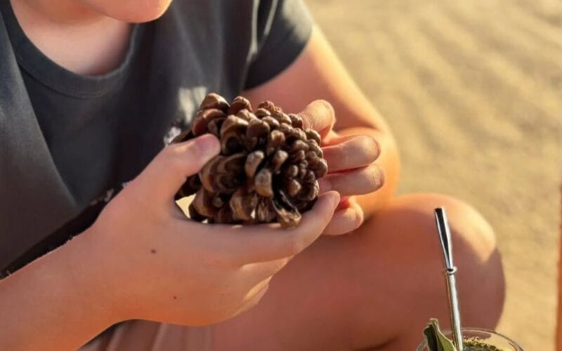 Sefir Bi Lebnen | A Full Day Adventure at Maasser Donkey Farm