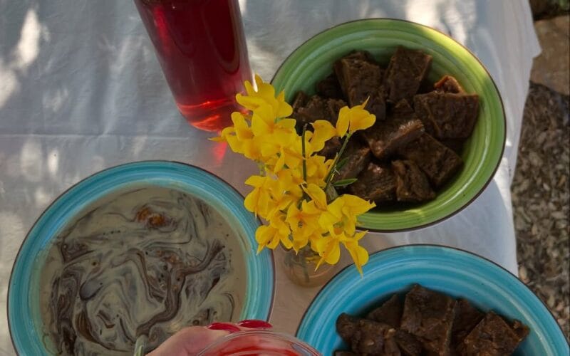 Sefir Bi Lebnen | A Full Day Adventure at Maasser Donkey Farm