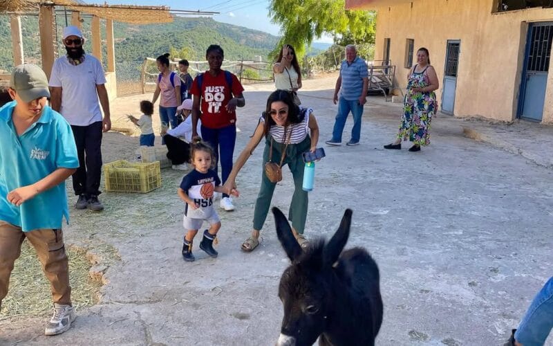 Sefir Bi Lebnen | A Full Day Adventure at Maasser Donkey Farm