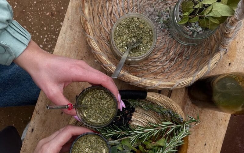 Sefir Bi Lebnen | A Full Day Adventure at Maasser Donkey Farm