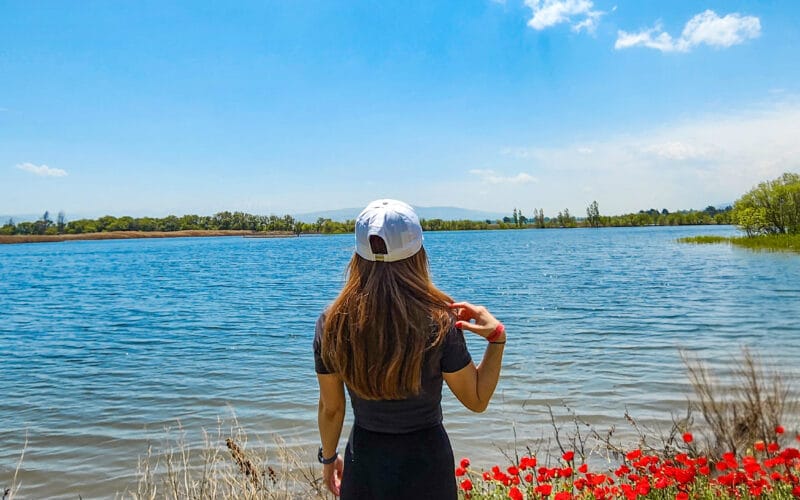 Ammiq Wetland Hiking