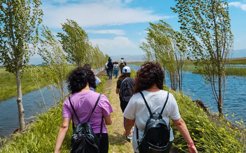 Ammiq Wetland Hiking