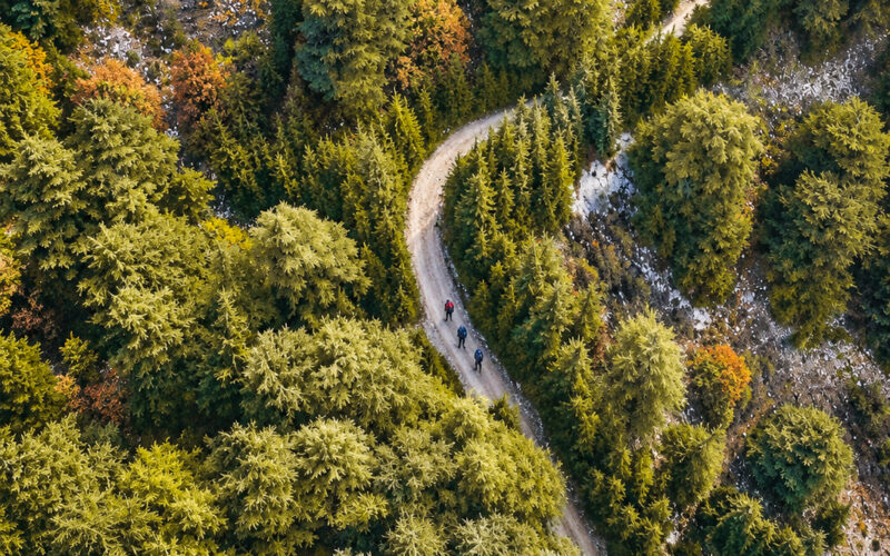 BAROUK CEDARS RESERVE HIKE