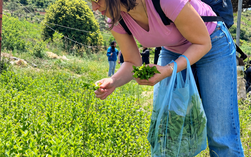 Into the Orchard: Apple Picking at Abou Saab Brothers' Farm