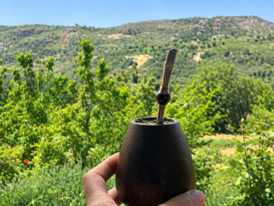 Into the Orchard: Apple Picking at Abou Saab Brothers' Farm