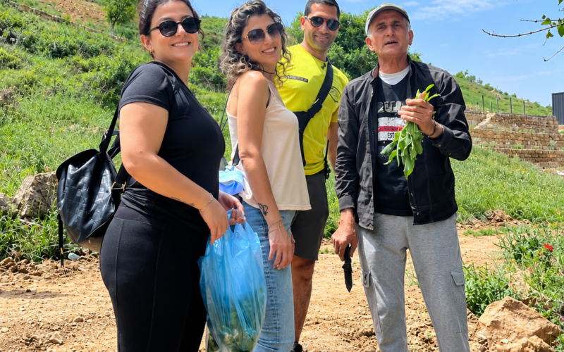 Into the Orchard: Apple Picking at Abou Saab Brothers' Farm