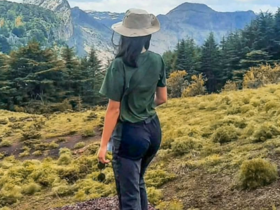 Hadath El Jebbeh Cedar Hiking