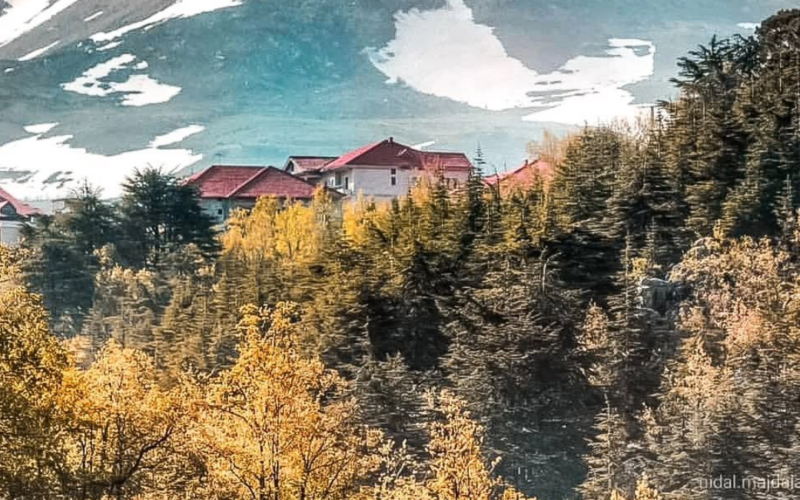 Hadath El Jebbeh Cedar Hiking
