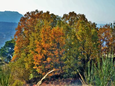 Kfardebian Fall Hiking