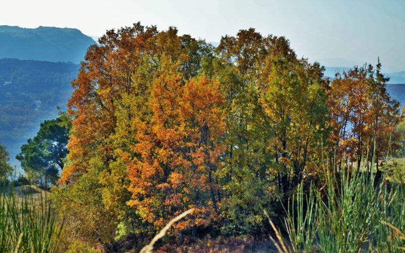 Kfardebian Fall Hiking