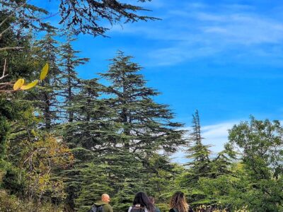 Horsh Ehden Fall Hiking – Saturday