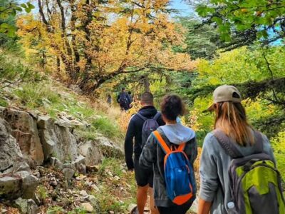 Horsh Ehden Fall Hiking – Sunday