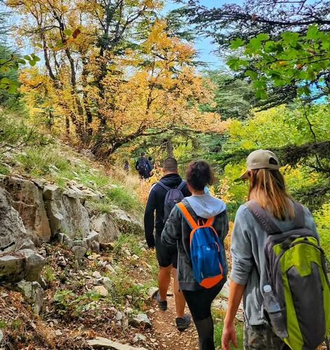 Horsh Ehden Fall Hiking – Sunday