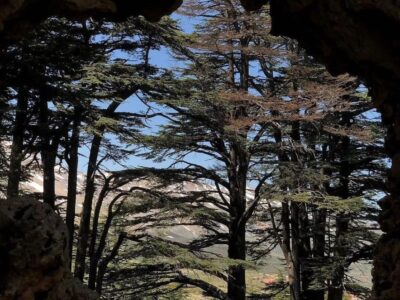 Sefir bi Lebnen to Qadisha | Arz cedars forest | St. Jacob | La jetee | St. Charbel house