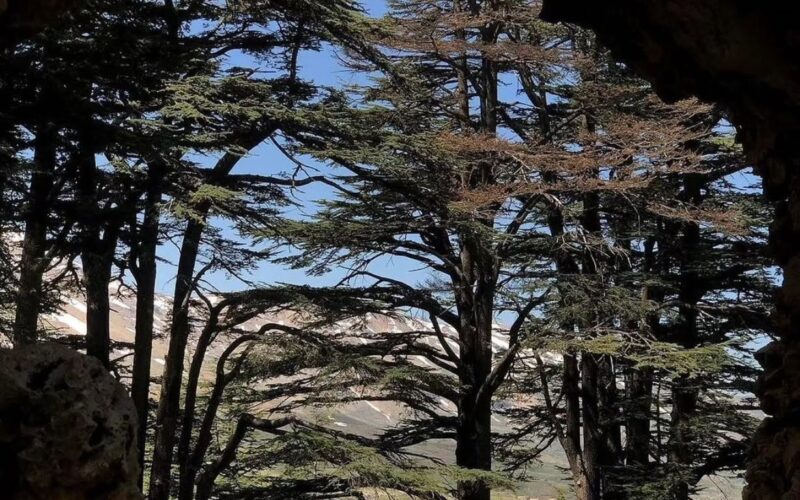 Sefir bi Lebnen to Qadisha | Arz cedars forest | St. Jacob | La jetee | St. Charbel house